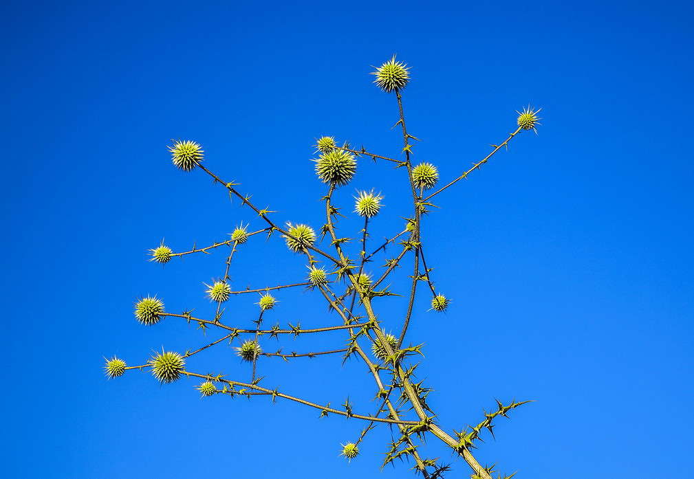 ... ����� ���������  �� PhotoGeek.ru #������ ��� ������� #����� ��������������