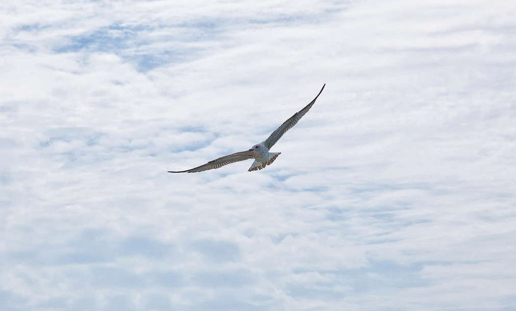 ����� ����� ���������  �� PhotoGeek.ru #�������� ���