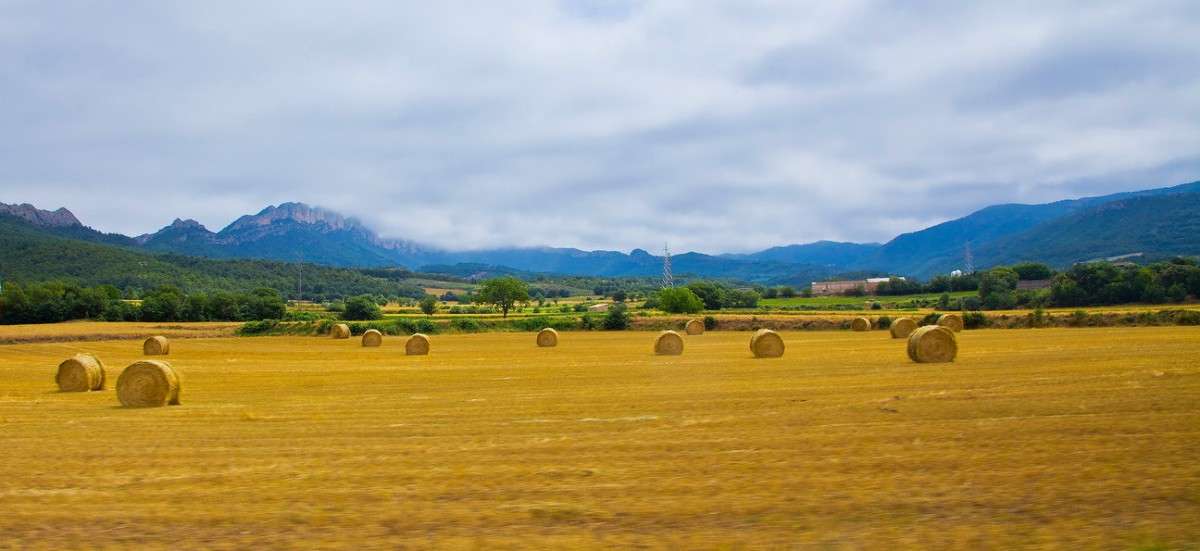 � �������� ����� ���������  �� PhotoGeek.ru #������ ��� �������