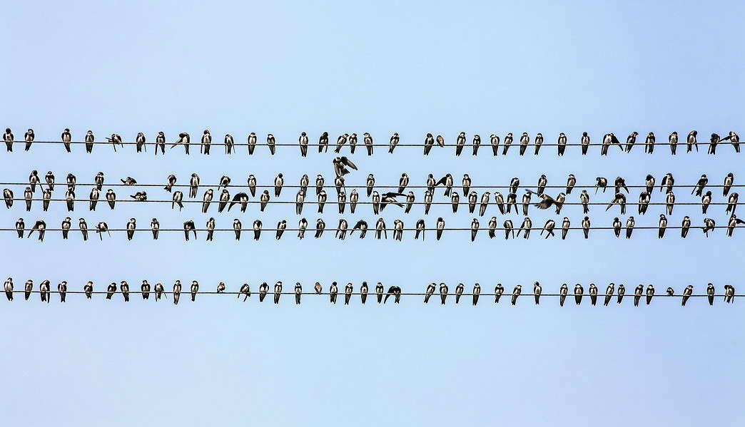 ������ ���� ����� ���������  �� PhotoGeek.ru #�������� ���