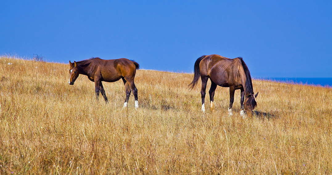... ����� ���������  �� PhotoGeek.ru #�������� ���