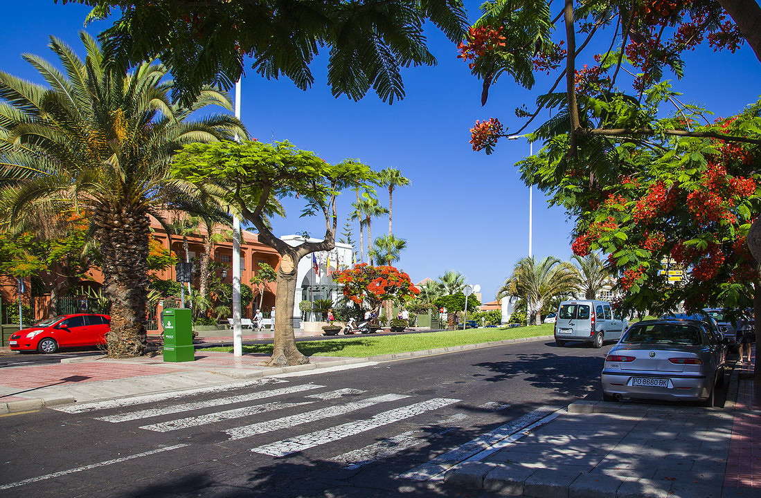 Adeje ����� ���������  �� PhotoGeek.ru #�����