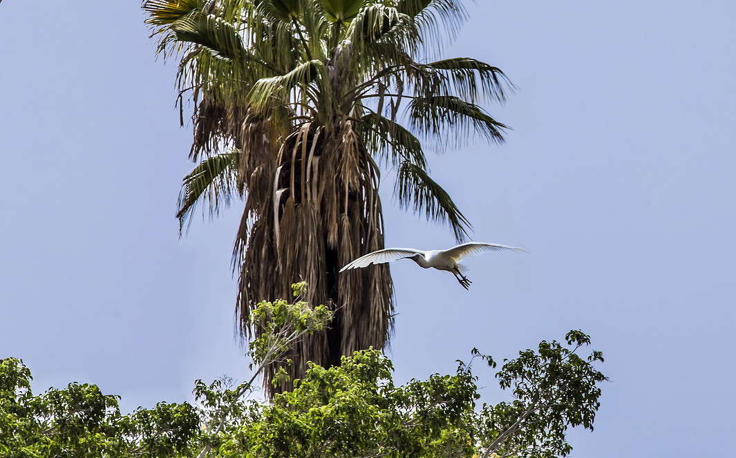 ������������ ������� ����� ���������  �� PhotoGeek.ru #�������� ��� #������ ��� �������