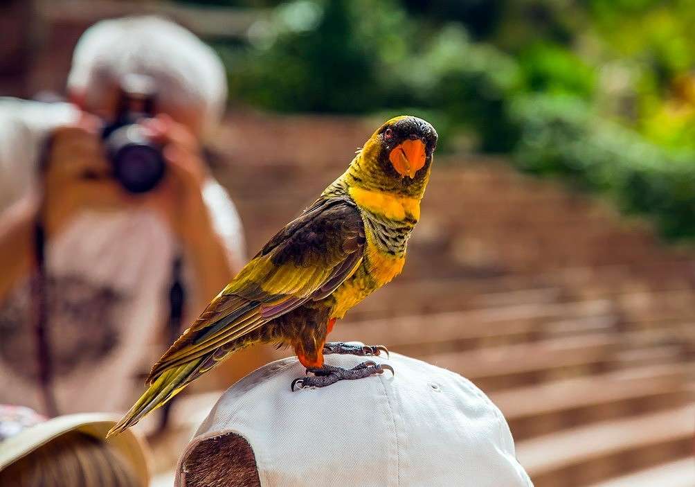 ���������� ����� ���������  �� PhotoGeek.ru #�������� ��� #�������� ����������