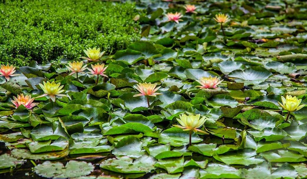 ... ����� ���������  �� PhotoGeek.ru #������ ��� ������� #����� ��������������