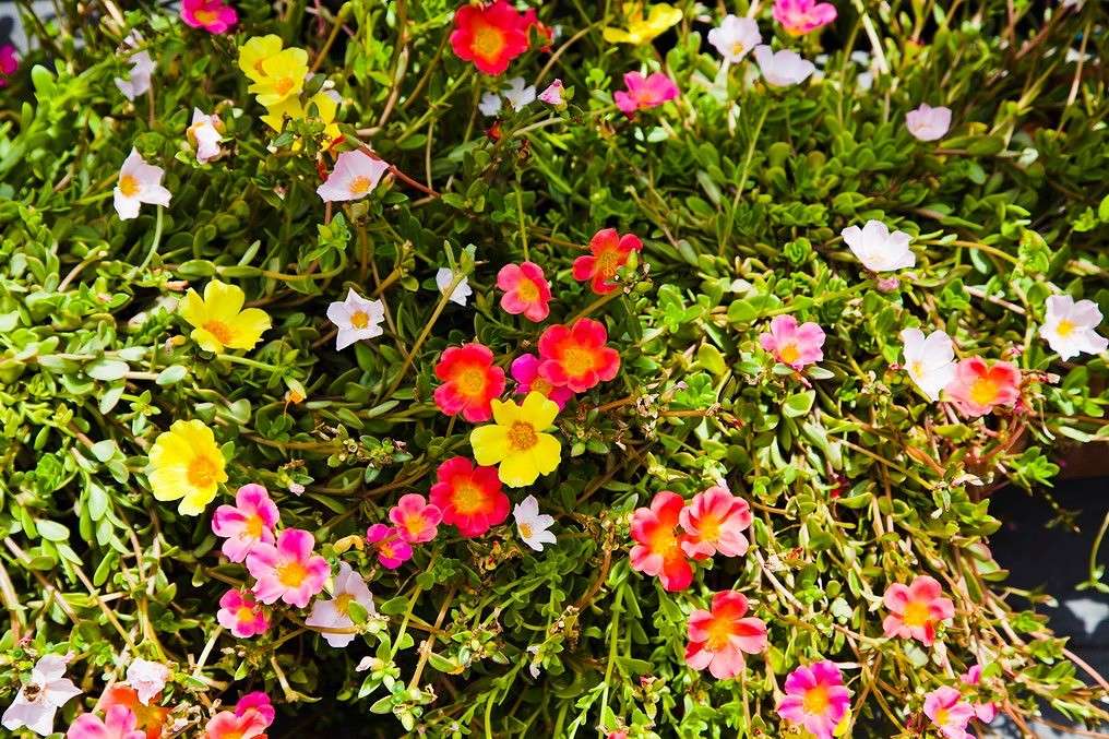 ... ����� ���������  �� PhotoGeek.ru #������ ��� �������