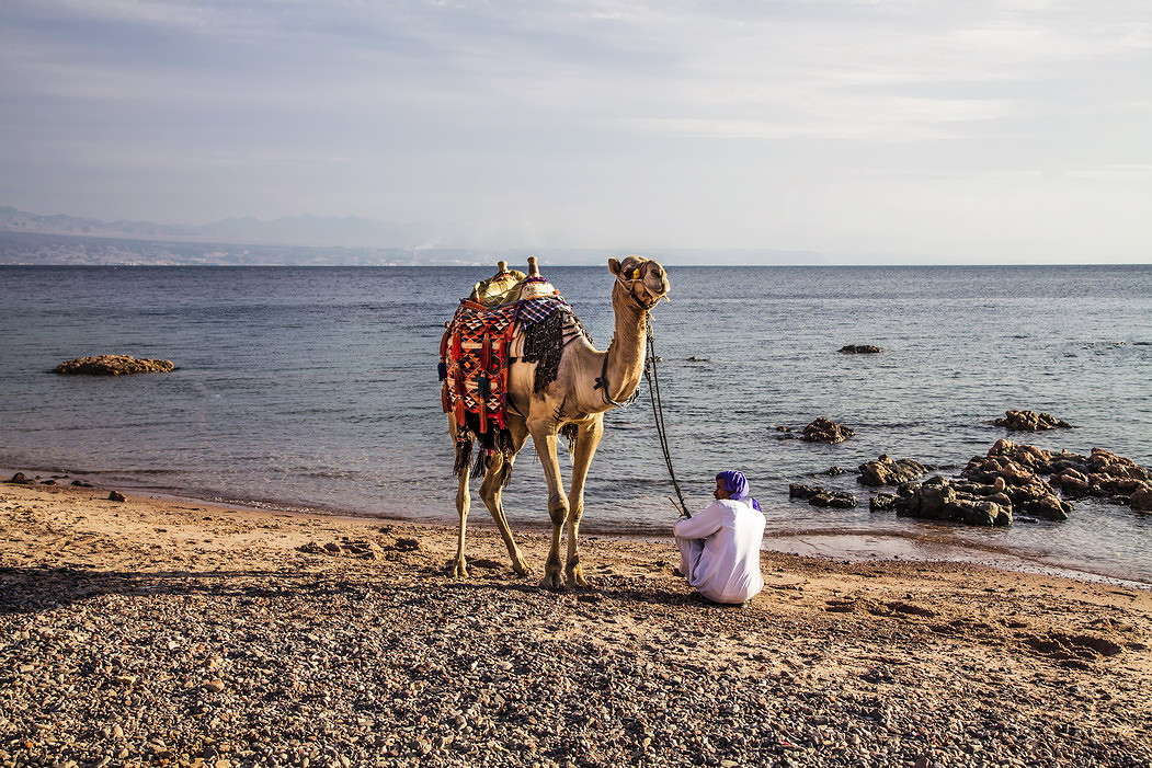 �� ������ �������� ���� ����� ���������  �� PhotoGeek.ru #������ ��� ������� #�������� ����������