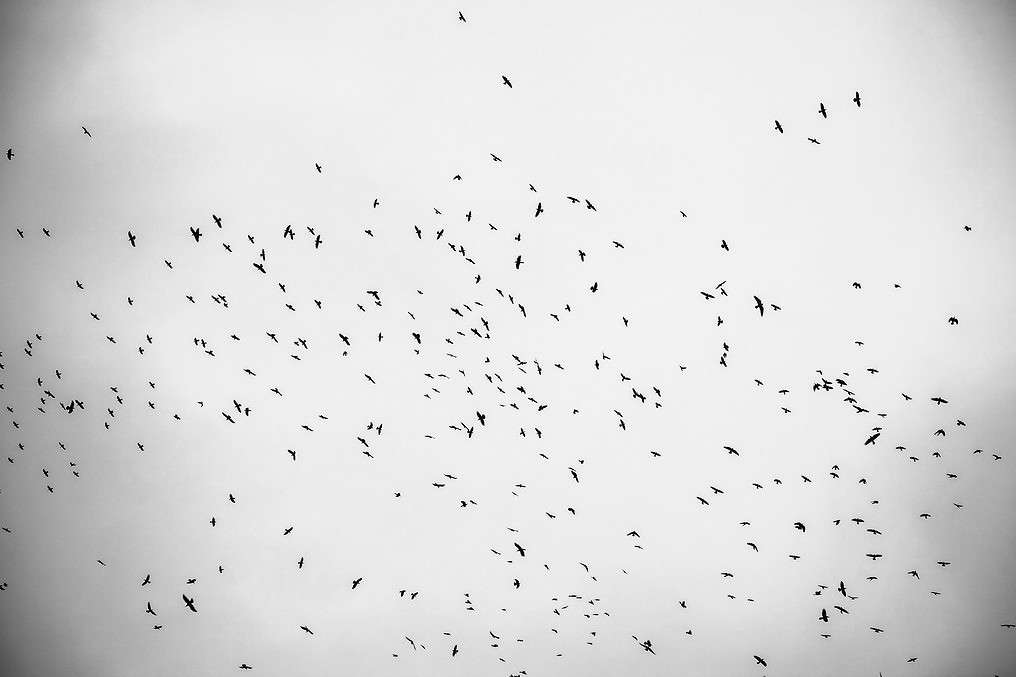 ����� ����� ���������  �� PhotoGeek.ru #�������� ���