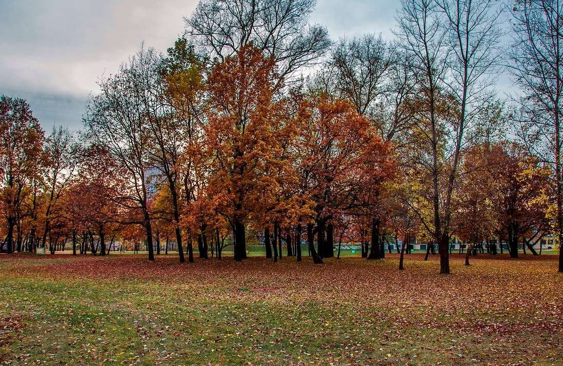 ... ����� ���������  �� PhotoGeek.ru #������ ��� �������