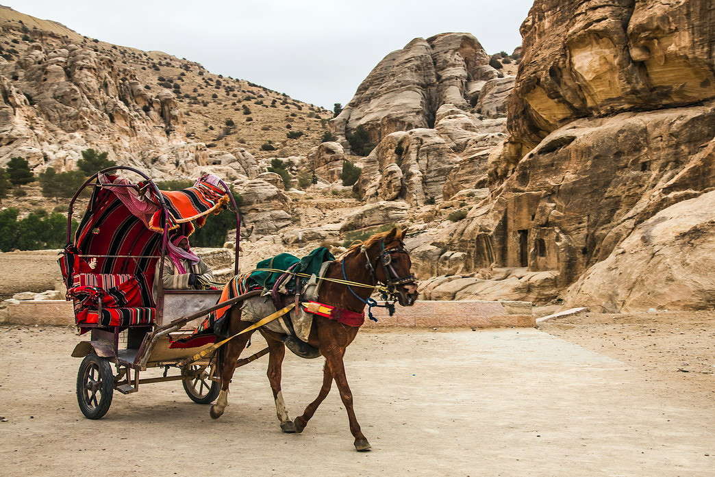 �������� ����� ���������  �� PhotoGeek.ru #�������� ����������