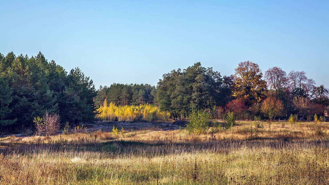 ... ����� ���������  �� PhotoGeek.ru #������ ��� �������