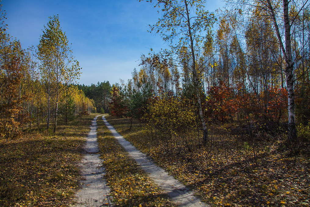 ... ����� ���������  �� PhotoGeek.ru #������ ��� �������