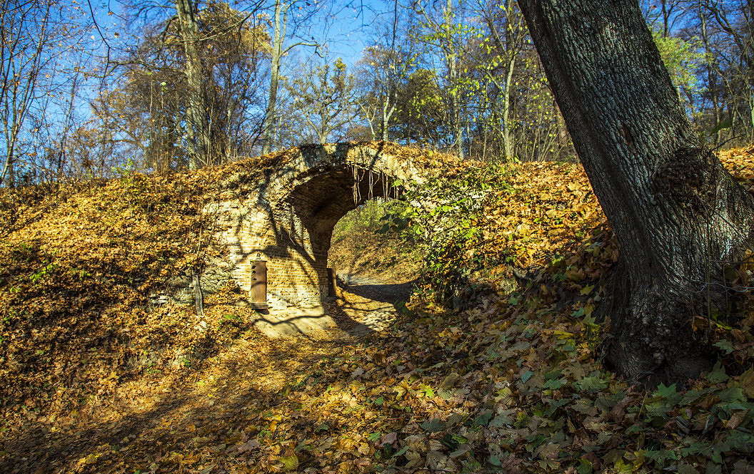 �� ������ ������ � ������� �����,... ����� ���������  �� PhotoGeek.ru #������ ��� �������