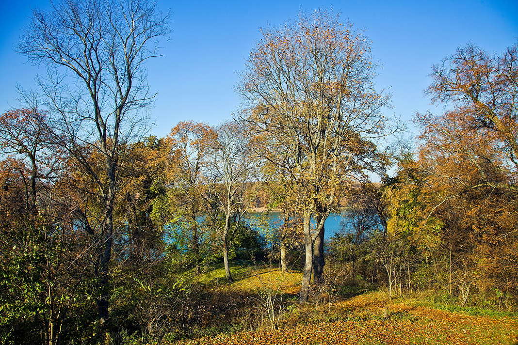 ... ����� ���������  �� PhotoGeek.ru #������ ��� �������