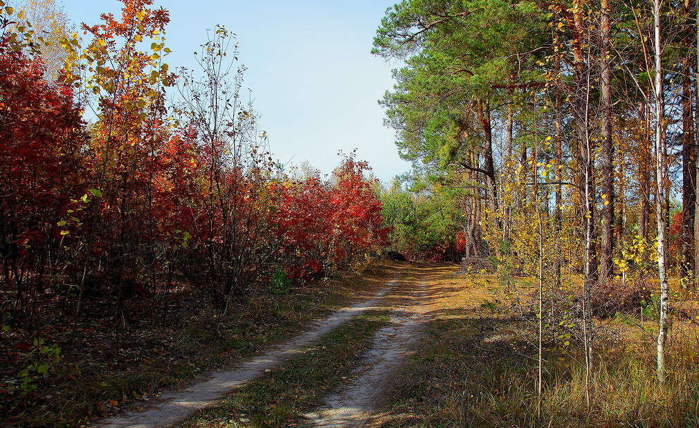 ... ����� ���������  �� PhotoGeek.ru #������ ��� �������