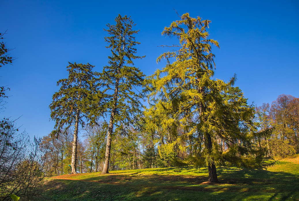 ��� � ����������� ����� ���������  �� PhotoGeek.ru #������ ��� �������