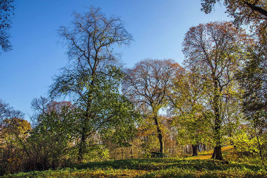 ... ����� ���������  �� PhotoGeek.ru #������ ��� �������