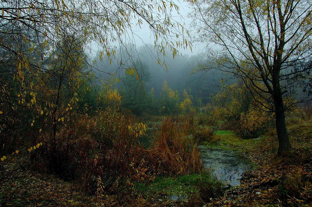 ... ����� ���������  �� PhotoGeek.ru #������ ��� �������