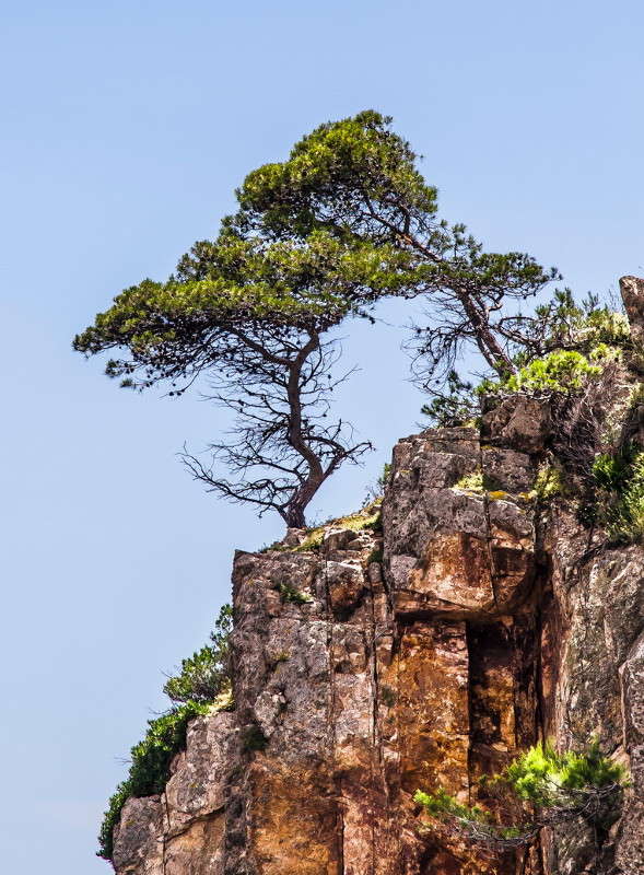 ����� �� ����� ����� ���������  �� PhotoGeek.ru #������ ��� �������