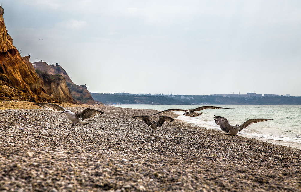 ... ����� ���������  �� PhotoGeek.ru #�������� ��� #������ ��� �������