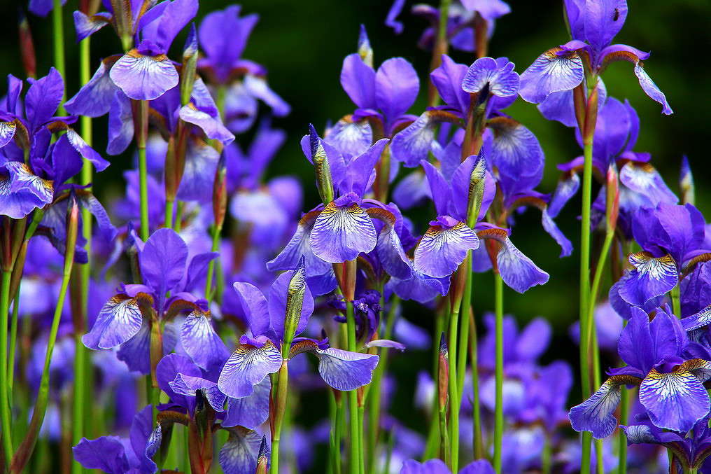 ... ����� ���������  �� PhotoGeek.ru #������ ��� ������� #����� ��������������