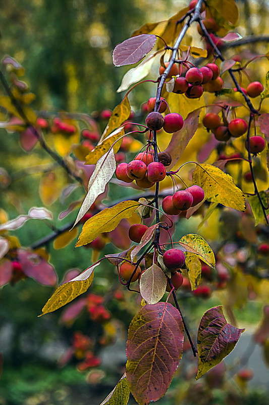 ������� ����� ���������  �� PhotoGeek.ru #������ ��� �������