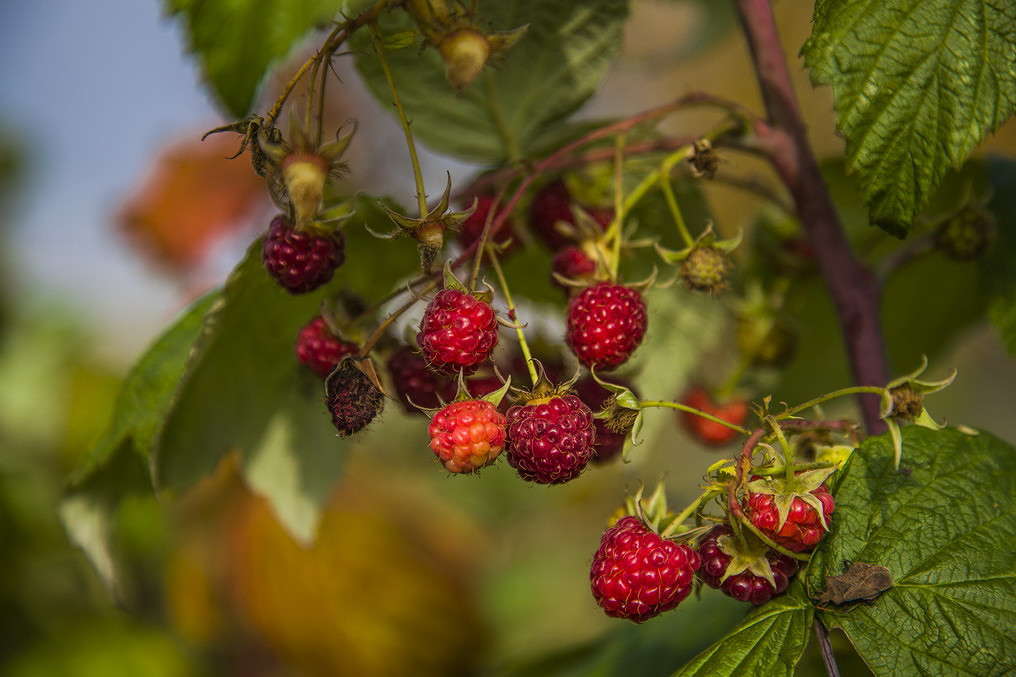 ��������� ������ ����� ���������  �� PhotoGeek.ru #������ ��� �������