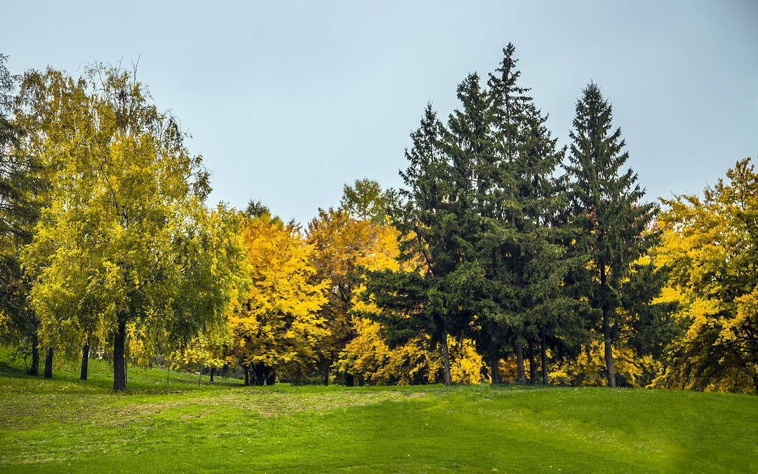 ... ����� ���������  �� PhotoGeek.ru #������ ��� �������