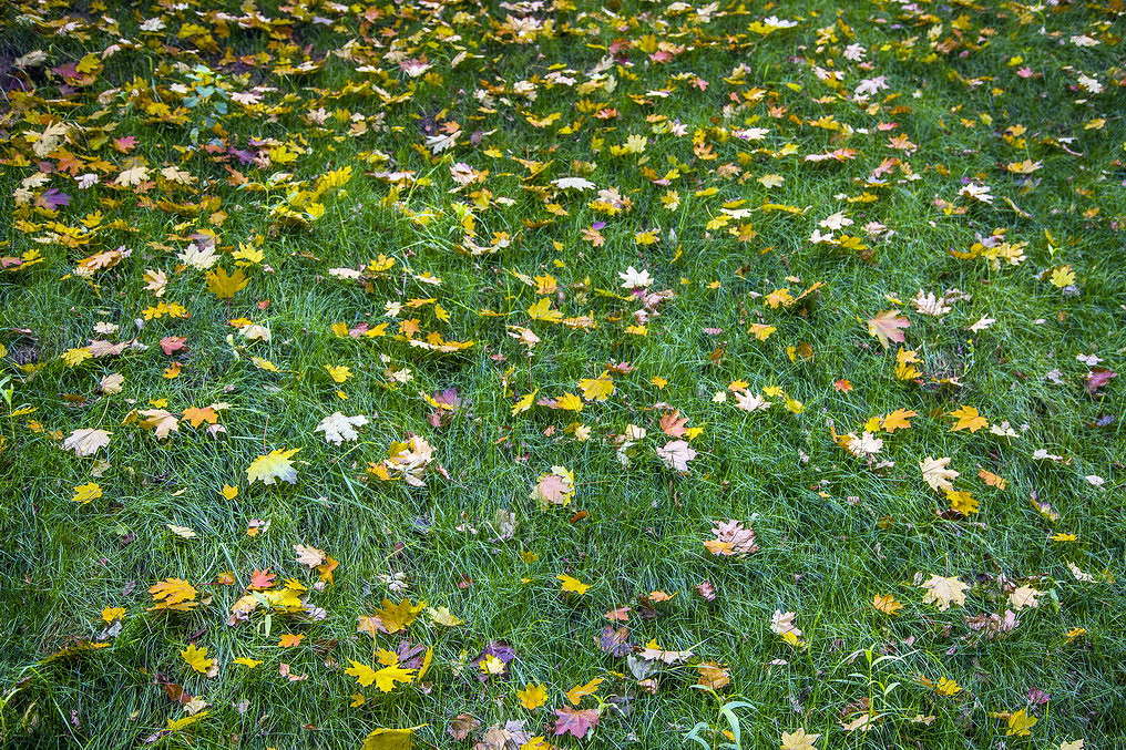 ����� ����� ���������  �� PhotoGeek.ru #������ ��� �������