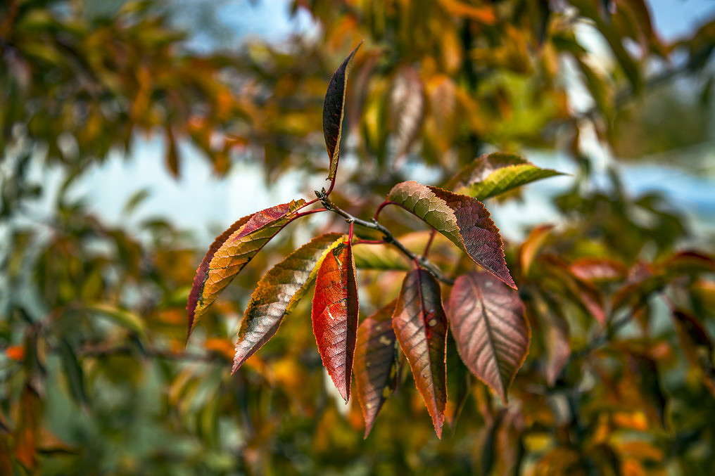 ����� ����� ���������  �� PhotoGeek.ru #������ ��� �������