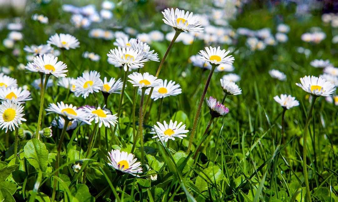 ���������� ����� ���������  �� PhotoGeek.ru #������ ��� �������