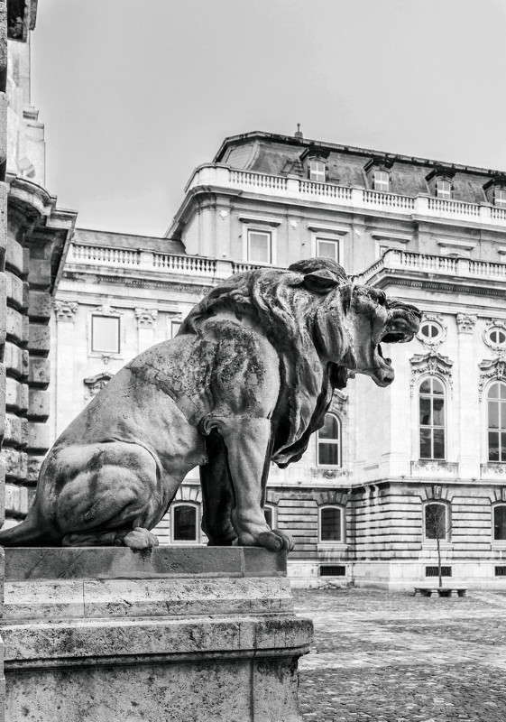 ����������� ������ ����� ���������  �� PhotoGeek.ru #����� #�����������