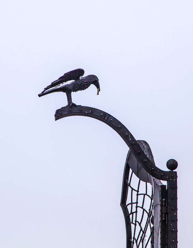 ��� ����� � ����������� ������ ����� ���������  �� PhotoGeek.ru #�����