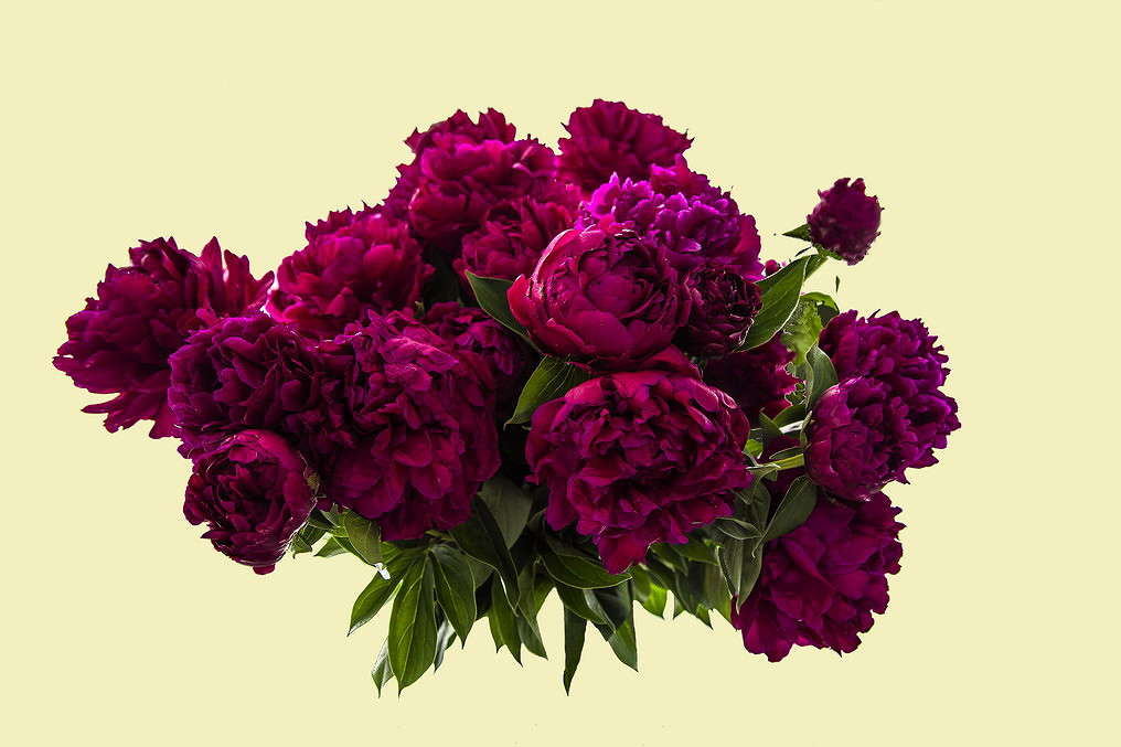 ����� ����� ���������  �� PhotoGeek.ru #������ ��� �������