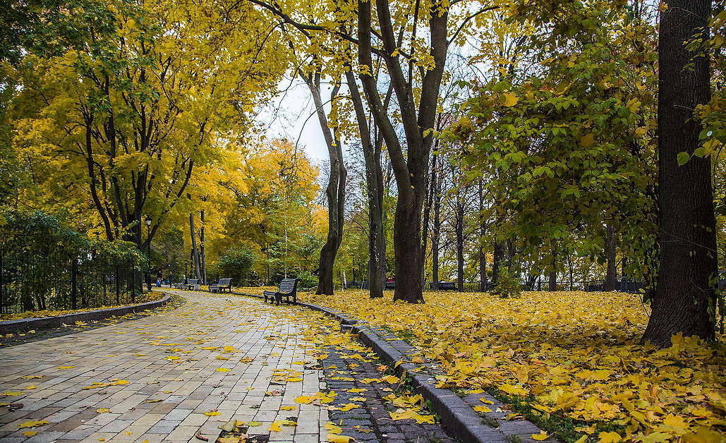 � ������� ����� ����� ���������  �� PhotoGeek.ru #�����