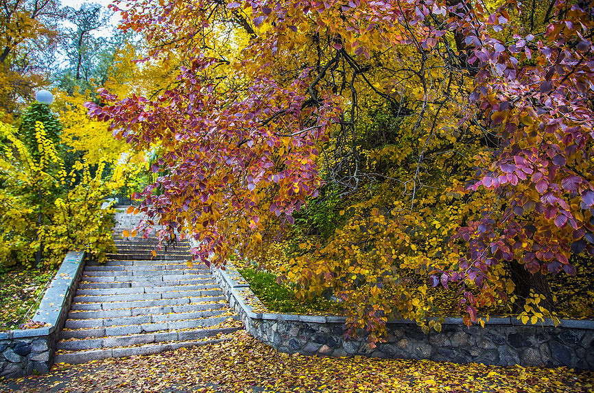 � ������ ����� ����� ���������  �� PhotoGeek.ru #����� #������ ��� �������