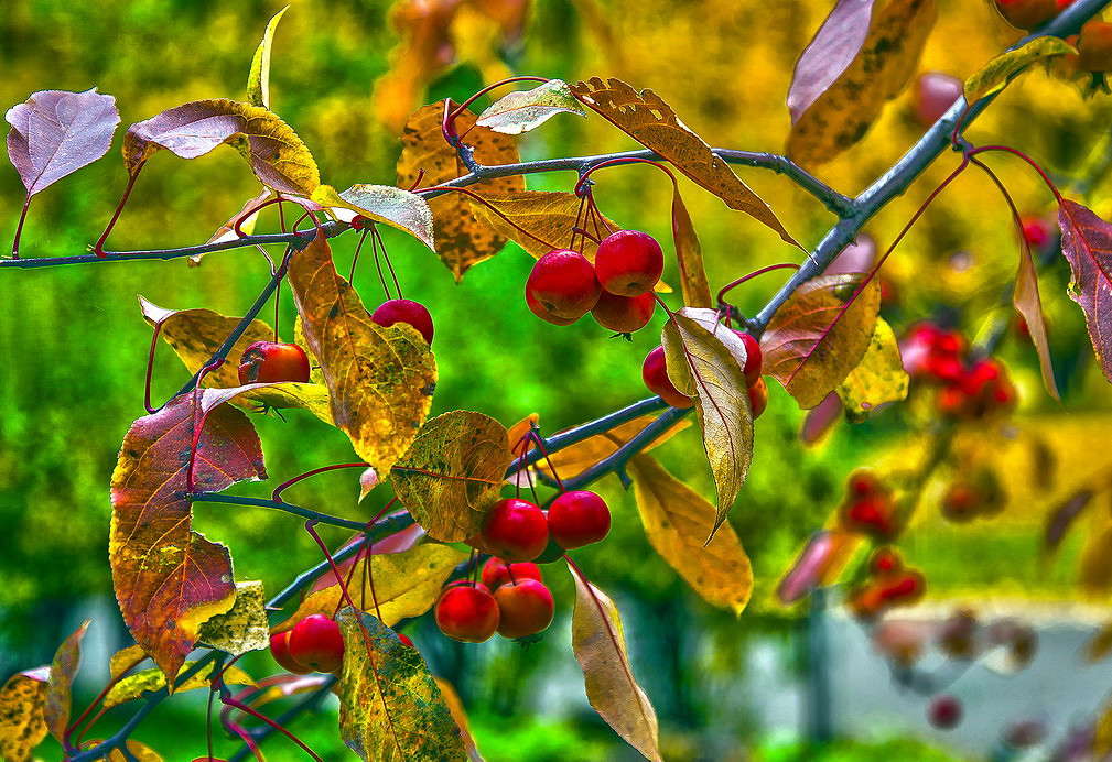 ����������� HDR ����� ���������  �� PhotoGeek.ru #������ ��� �������