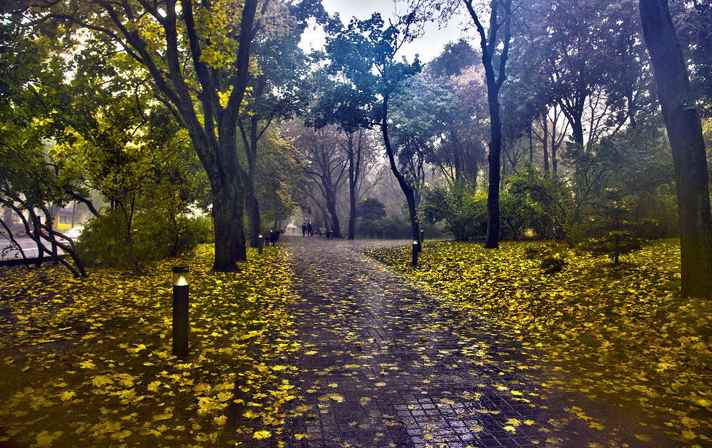 ��� ������ ����� ���������  �� PhotoGeek.ru #����� #������ ��� �������