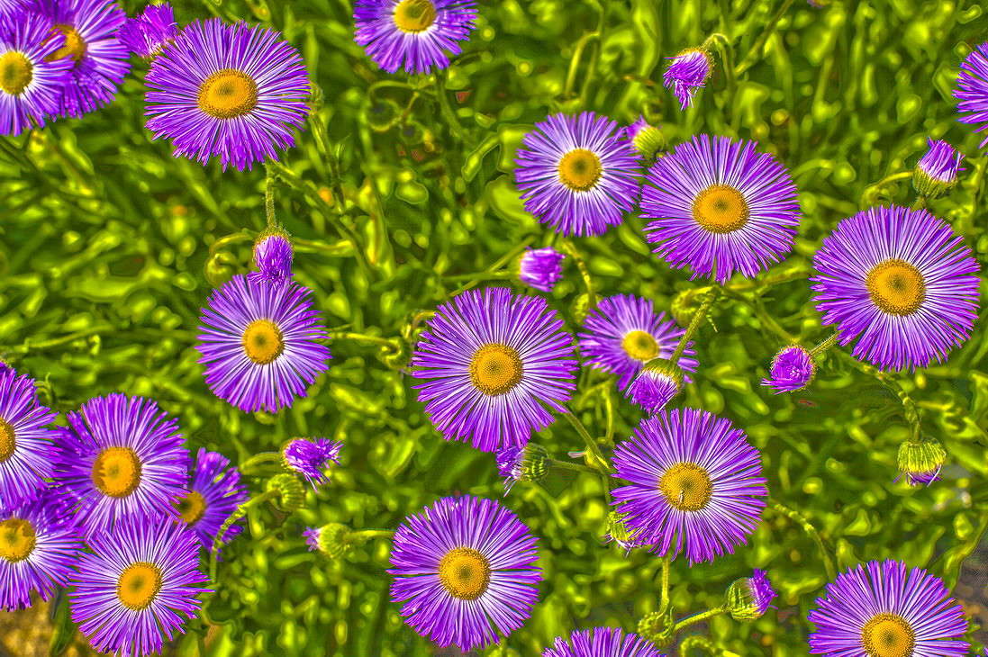 ... ����� ���������  �� PhotoGeek.ru #������ ��� �������