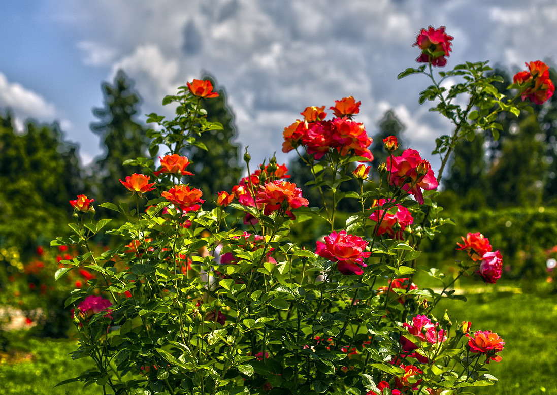 ... ����� ���������  �� PhotoGeek.ru #������ ��� �������