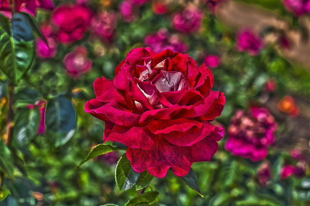 ... ����� ���������  �� PhotoGeek.ru #������ ��� �������