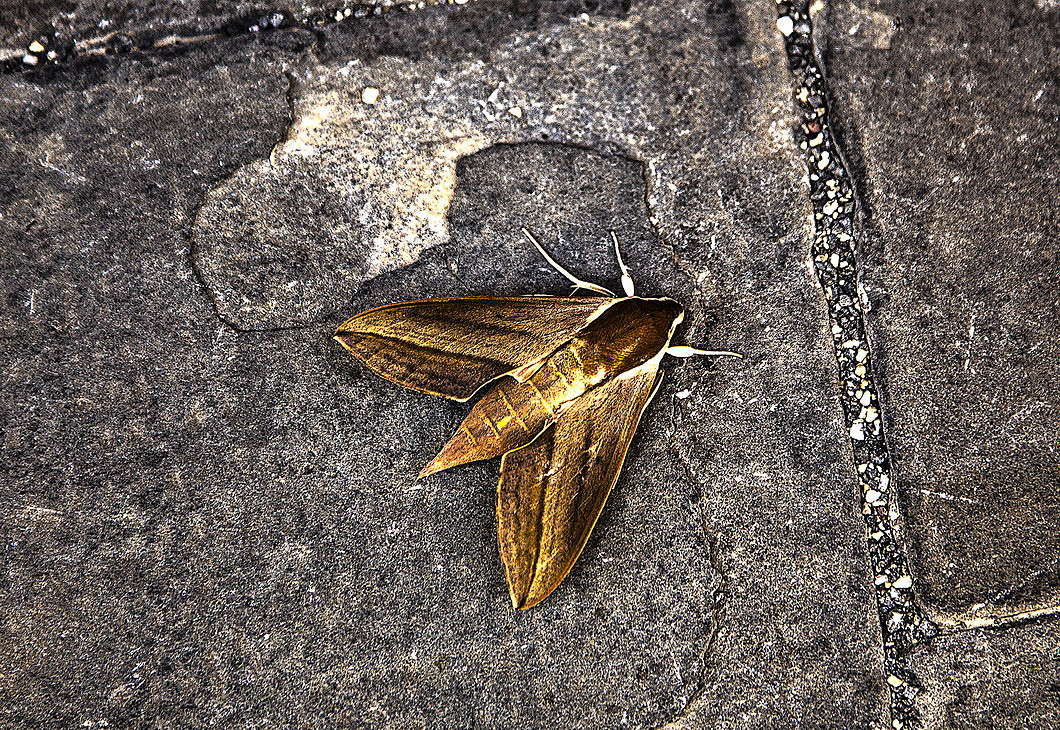 ... ����� ���������  �� PhotoGeek.ru #�������� ���