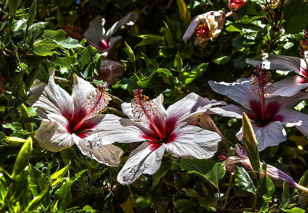 �������� ����� ���������  �� PhotoGeek.ru #������ ��� �������