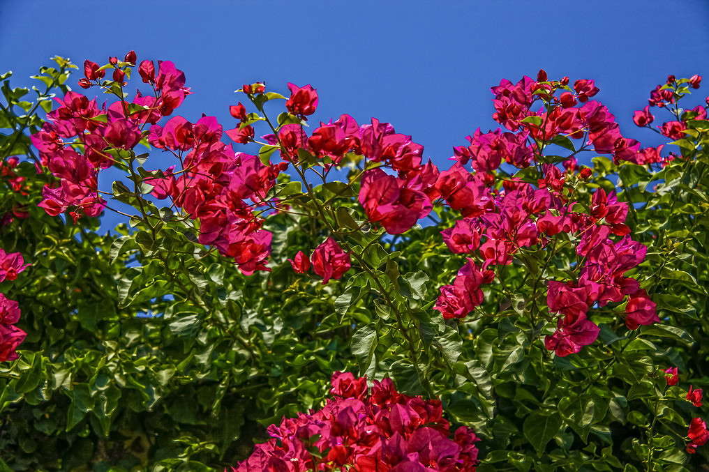 ����������� ����� ���������  �� PhotoGeek.ru #������ ��� �������