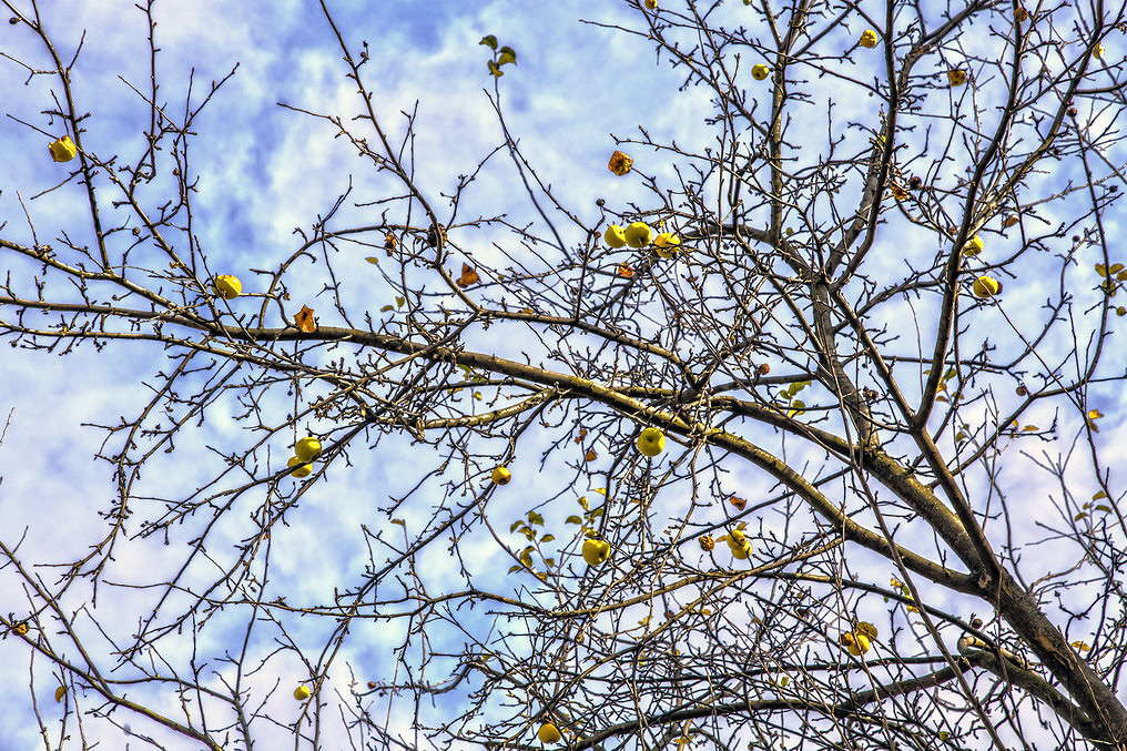 ���������� ������ ����� ���������  �� PhotoGeek.ru #������ ��� �������