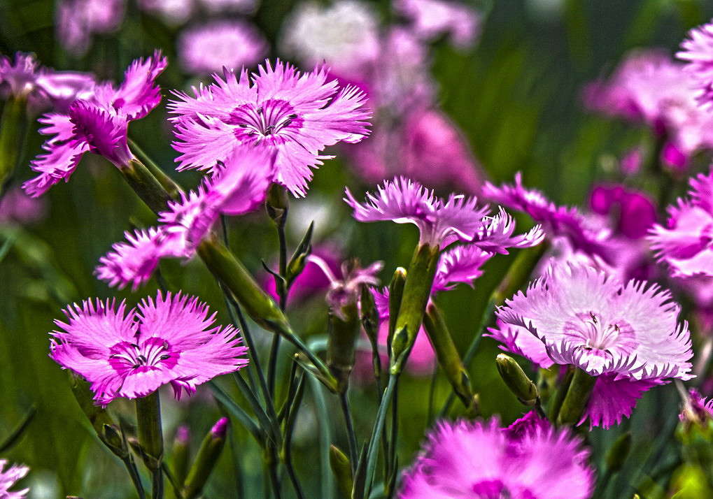 ��������� ����� ���������  �� PhotoGeek.ru #������ ��� �������