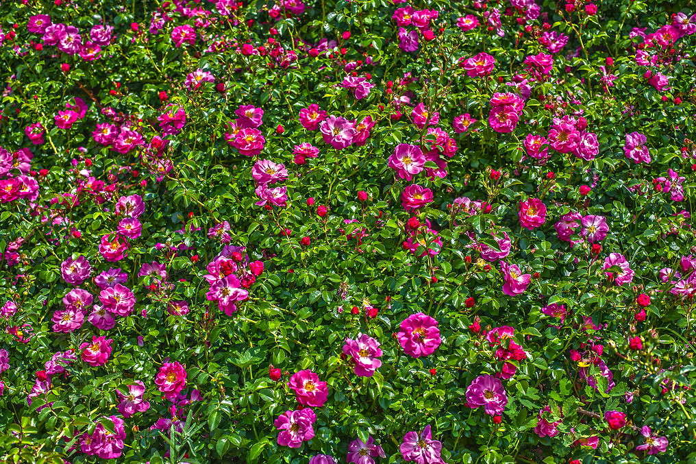 ������� ����� ���������  �� PhotoGeek.ru #������ ��� �������