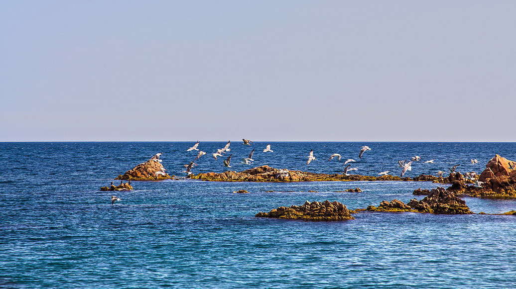 ����� ����� ���������  �� PhotoGeek.ru #�������� ��� #������ ��� �������