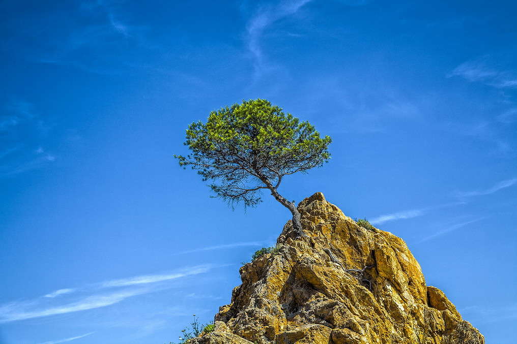 ����� ����� ���������  �� PhotoGeek.ru #������ ��� �������