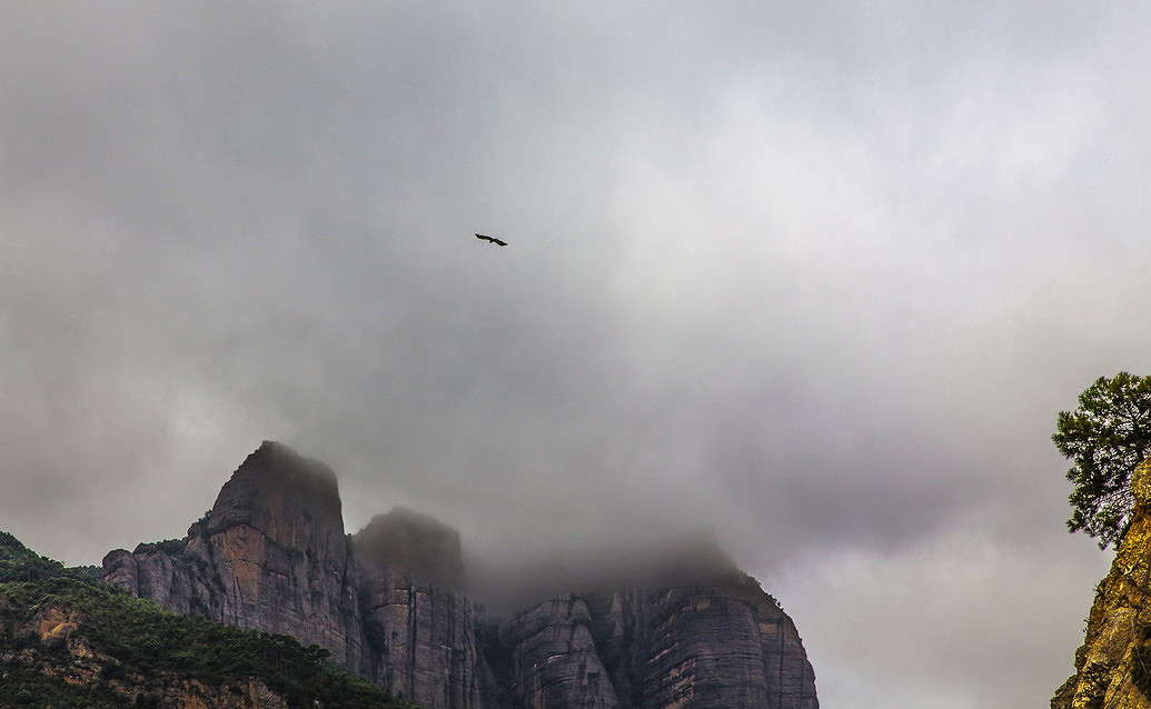 ������ ���� ����� ���������  �� PhotoGeek.ru #������ ��� �������